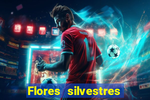 Flores silvestres brasileiras brasileiras flores silvestres nomes e imagens